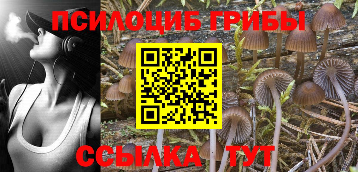 Псилоцибиновые грибы мицелий  Галлюциногенные грибы Magic Shrooms  Кировск  Вход с VPN 
